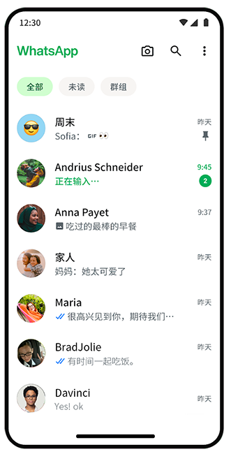 WhatsApp Web聊天窗口