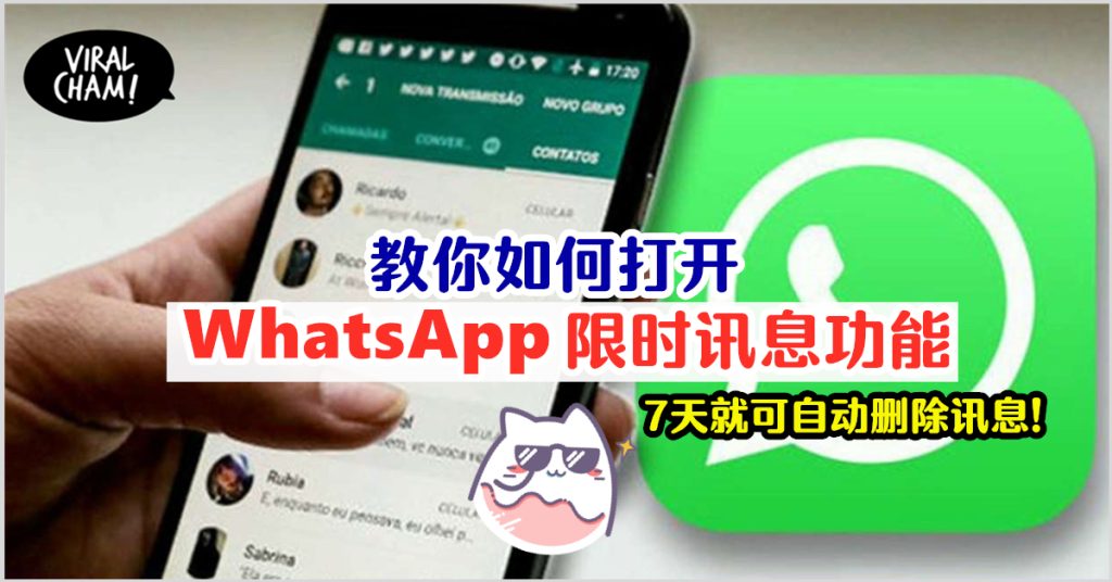 WhatsApp聊天记录丢失？