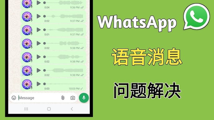 WhatsApp语音消息问题？